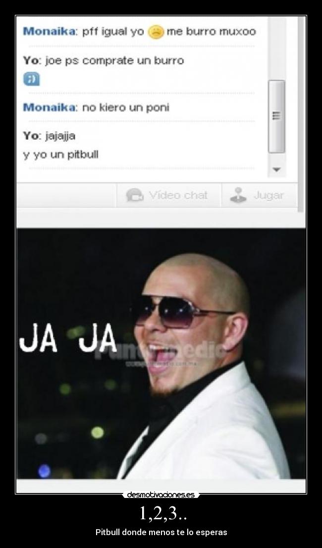 carteles pitbull desmotivaciones
