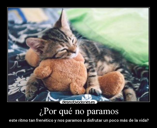 ¿Por qué no paramos - este ritmo tan frenético y nos paramos a disfrutar un poco más de la vida?