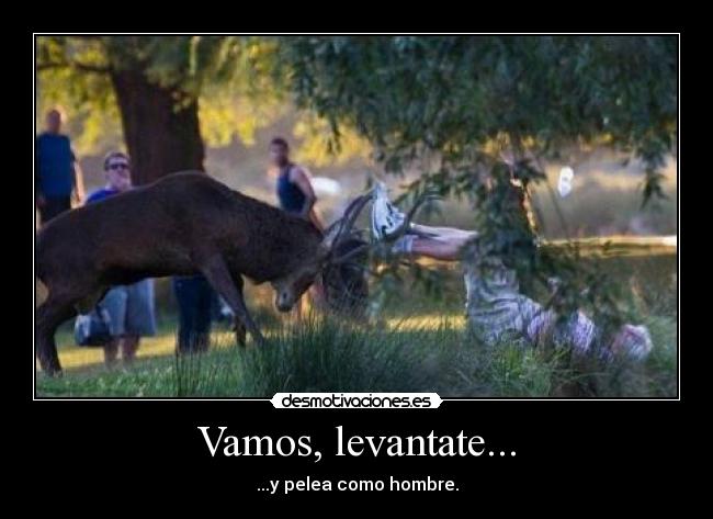 Vamos, levantate... - 