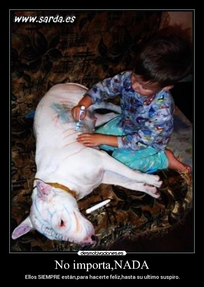 No importa,NADA -