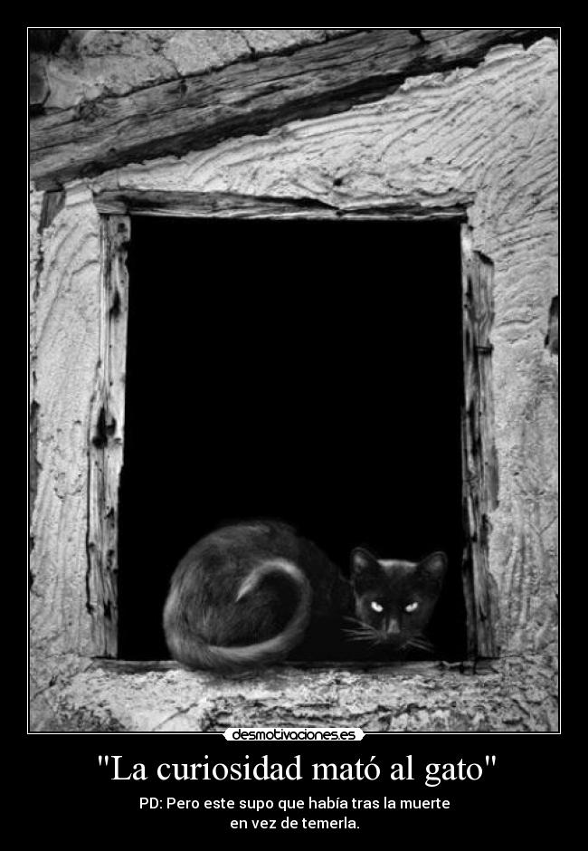 La curiosidad mató al gato - PD: Pero este supo que había tras la muerte
en vez de temerla.