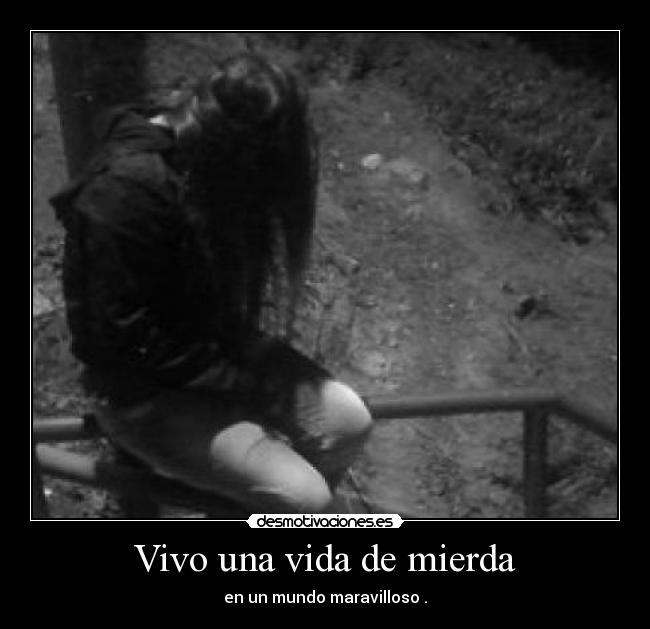 carteles vida mierda vida desmotivaciones
