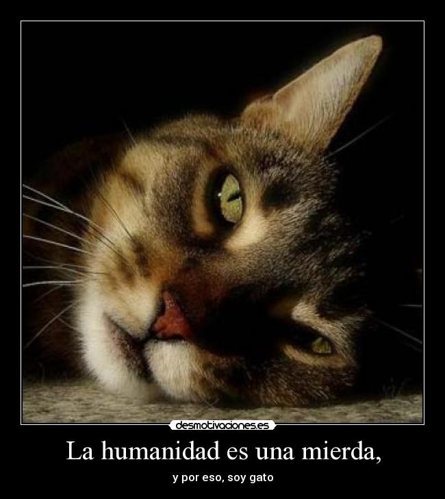 La humanidad es una mierda, - y por eso, soy gato