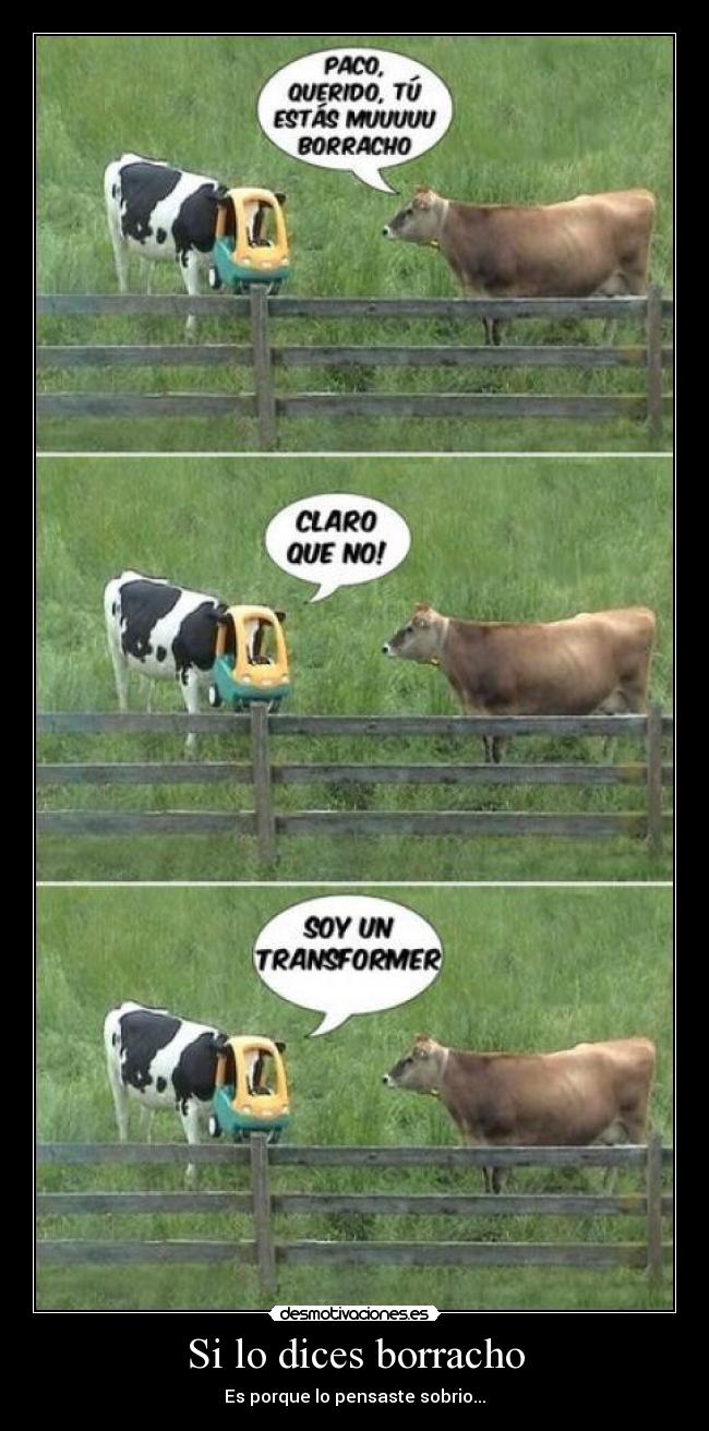 Si lo dices borracho -