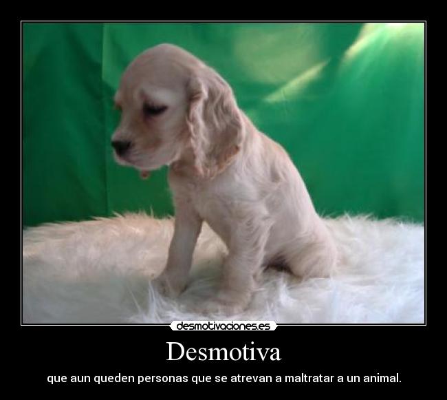 Desmotiva - 