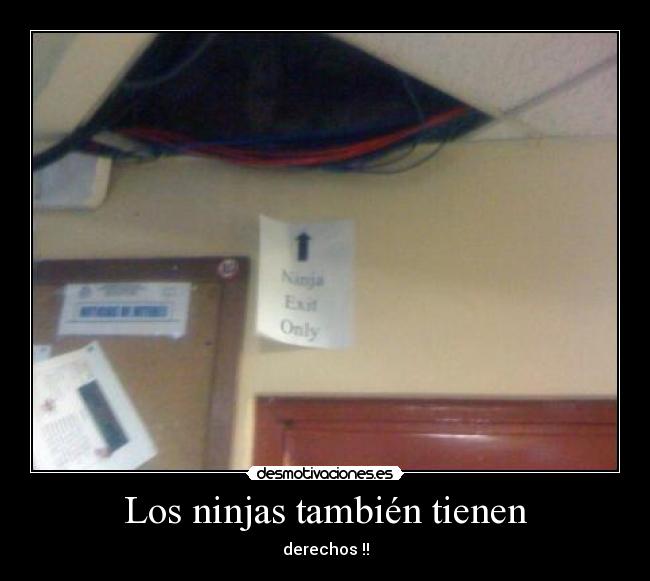 Los ninjas también tienen - derechos !!