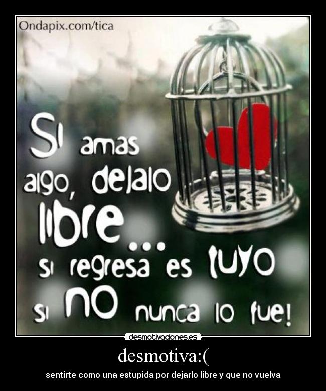 desmotiva:( - sentirte como una estupida por dejarlo libre y que no vuelva