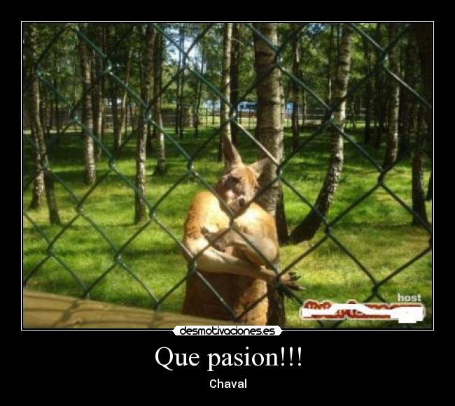 Que pasion!!! - Chaval