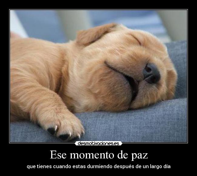 Ese momento de paz - que tienes cuando estas durmiendo después de un largo día