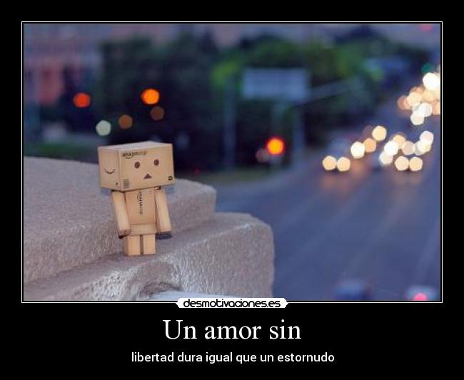 Un amor sin -