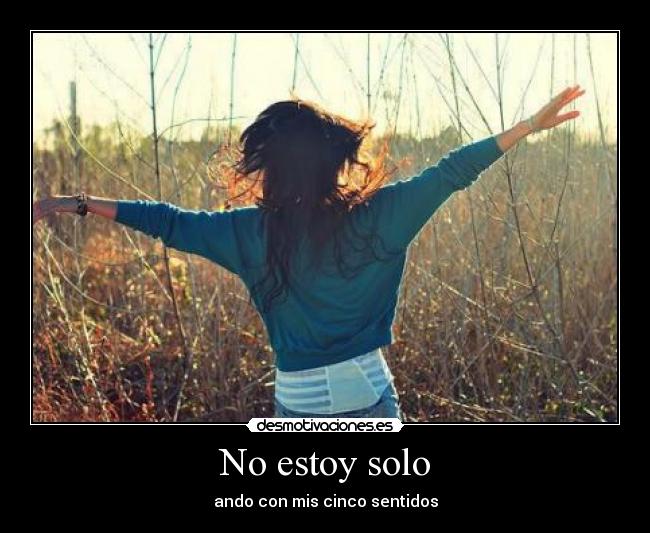No estoy solo -