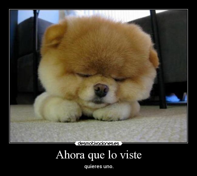 Ahora que lo viste - quieres uno.