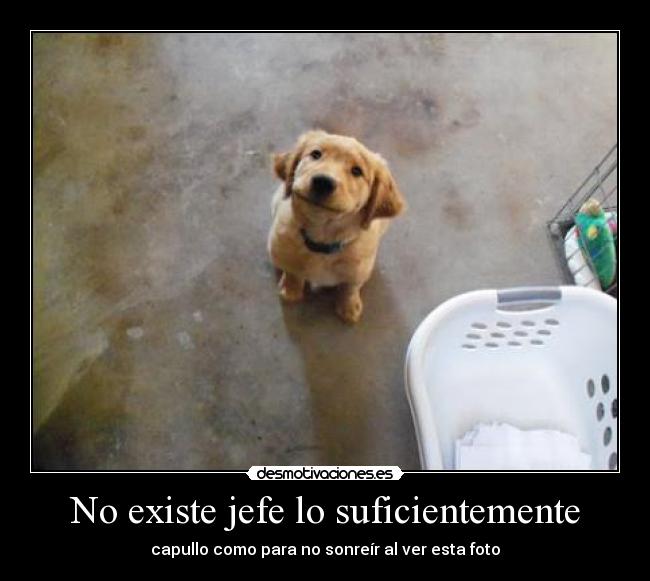 No existe jefe lo suficientemente - 