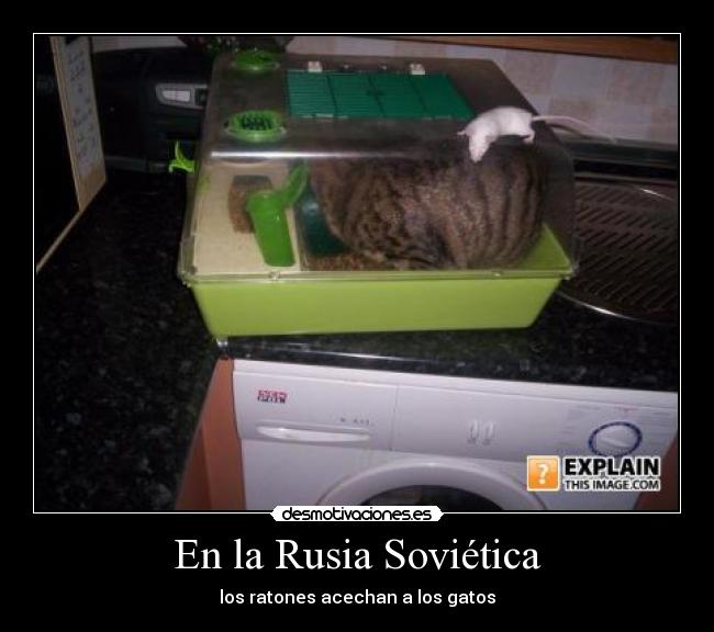 En la Rusia Soviética -