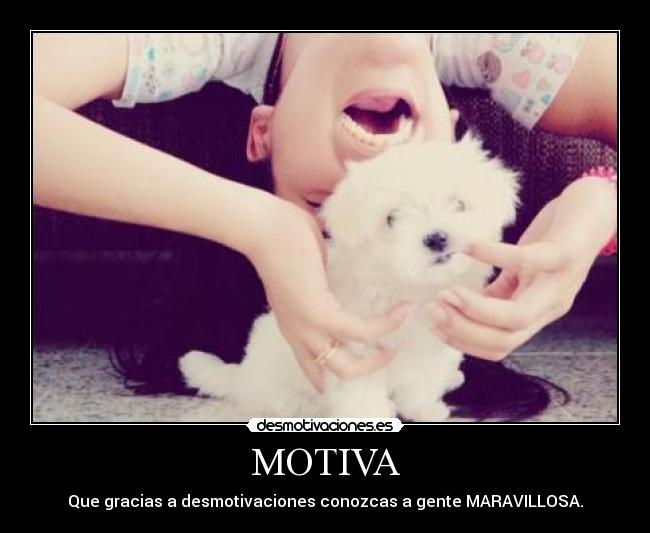 MOTIVA - 