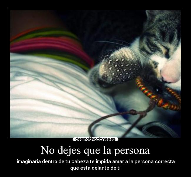 No dejes que la persona - imaginaria dentro de tu cabeza te impida amar a la persona correcta
que esta delante de ti.