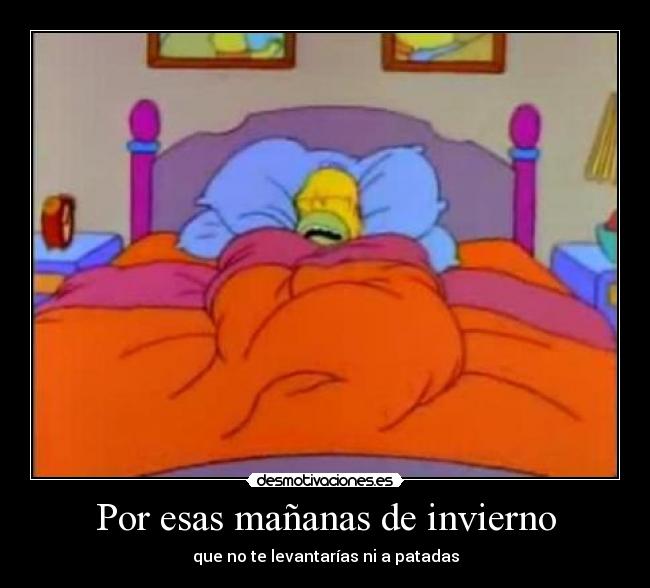 Por esas mañanas de invierno -