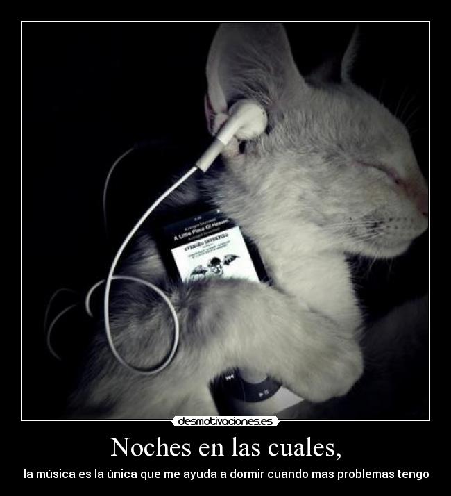 Noches en las cuales, - 