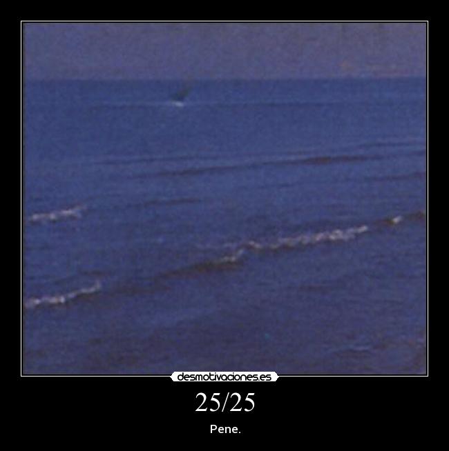 25/25 - Pene.