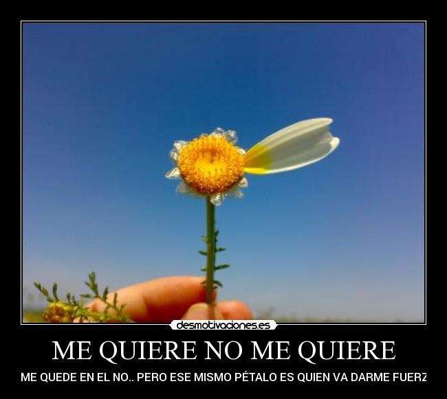 ME QUIERE NO ME QUIERE - Y ME QUEDE EN EL NO.. PERO ESE MISMO PÉTALO ES QUIEN VA DARME FUERZA