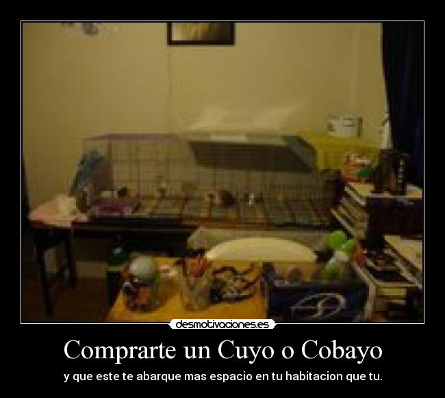carteles cuyo desmotivaciones