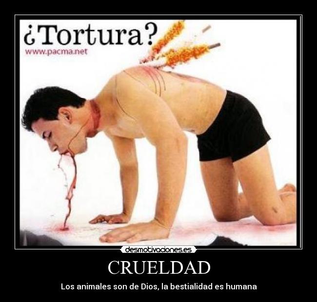 CRUELDAD - Los animales son de Dios, la bestialidad es humana