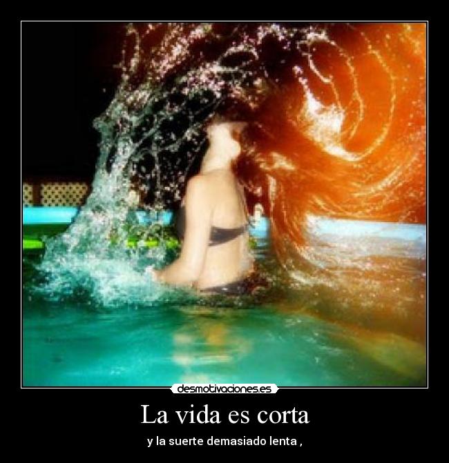 La vida es corta - 