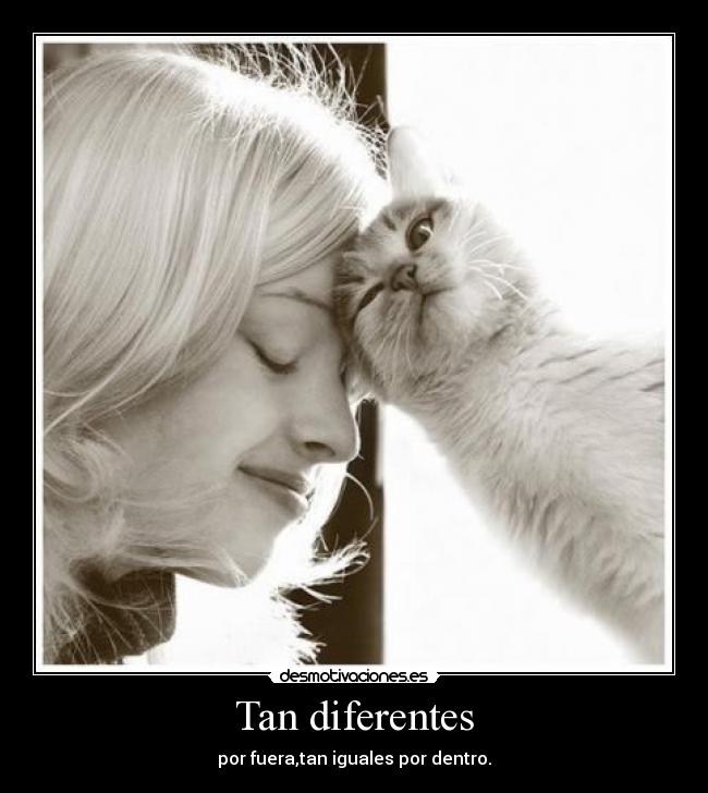 carteles present desmotivaciones