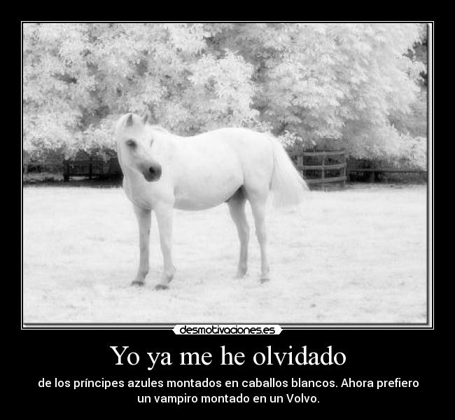 Yo ya me he olvidado - 