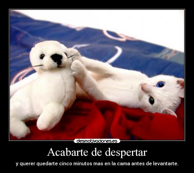 carteles cama dormir gatete laurypixipi desmotivaciones