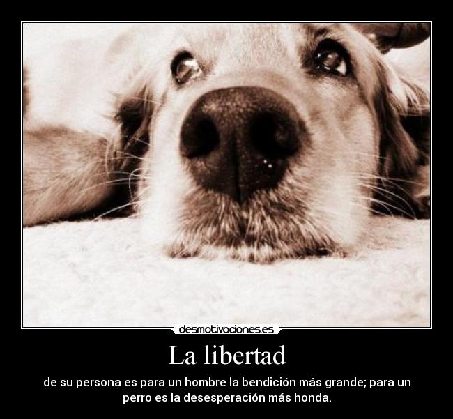 La libertad - de su persona es para un hombre la bendición más grande; para un
perro es la desesperación más honda.