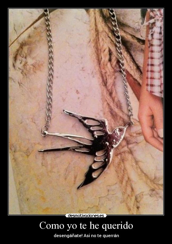 Como yo te he querido -