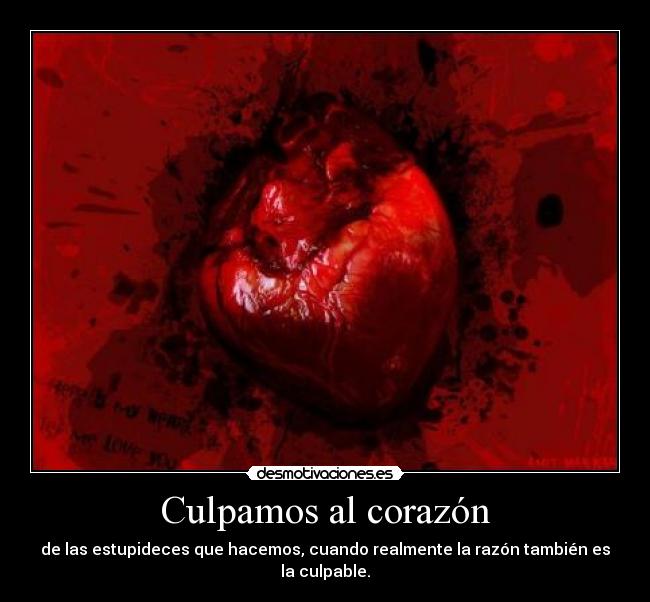 Culpamos al corazón -