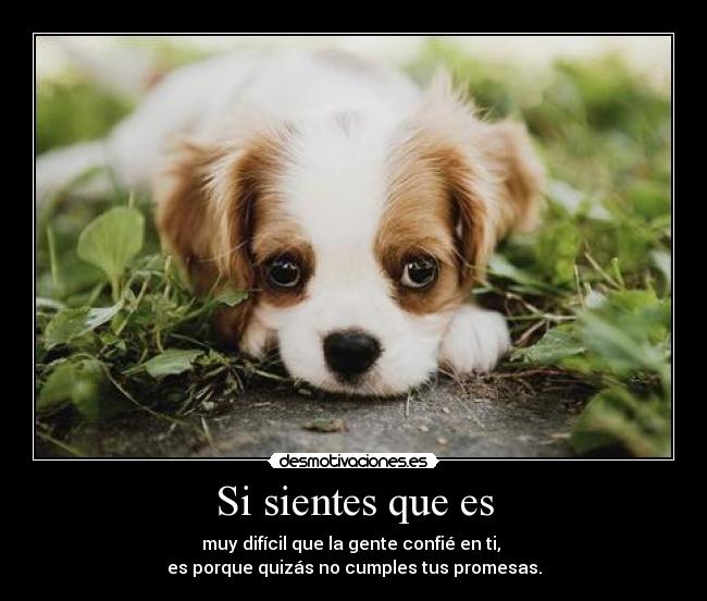 Si sientes que es - muy difícil que la gente confié en ti,
es porque quizás no cumples tus promesas.