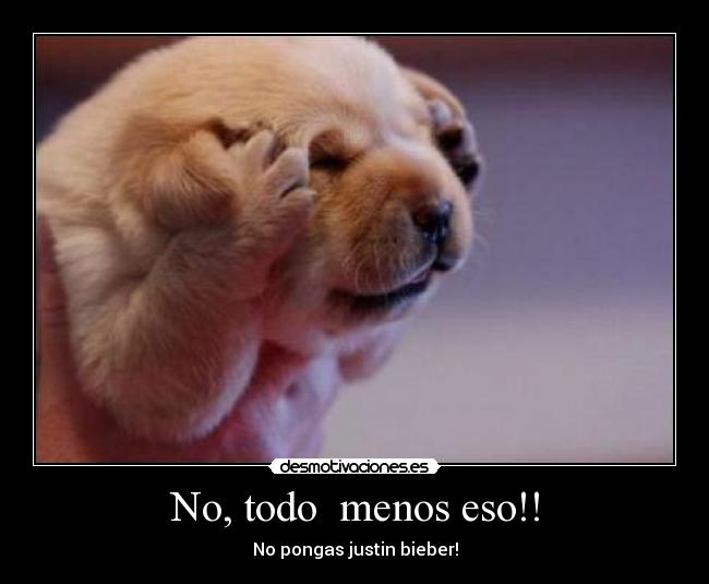 carteles justin malo tortura pobre perrito lalalalalalalalala anitalavalatina desmotivaciones