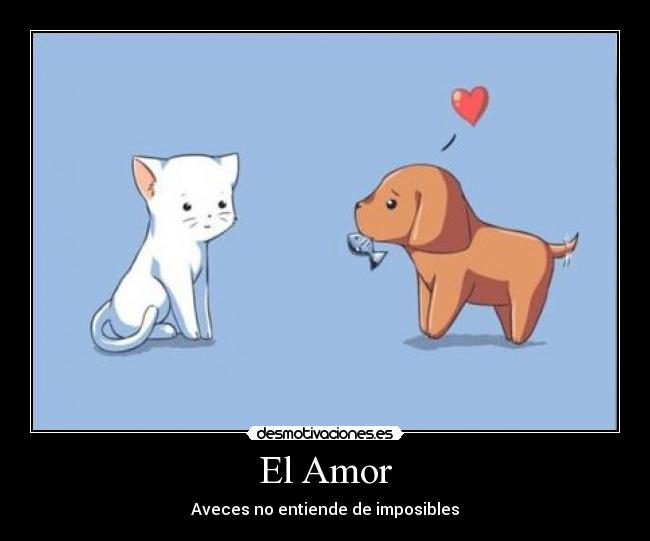 El Amor - 