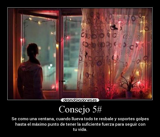 Consejo 5# - Se como una ventana, cuando llueva todo te resbale y soportes golpes
hasta el máximo punto de tener la suficiente fuerza para seguir con
tu vida.