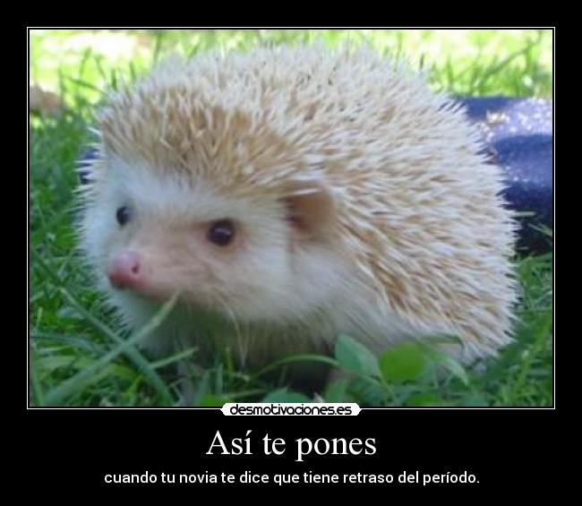 Así te pones - cuando tu novia te dice que tiene retraso del período.