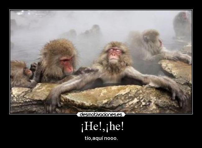 ¡He!,¡he! - tío,aquí nooo.