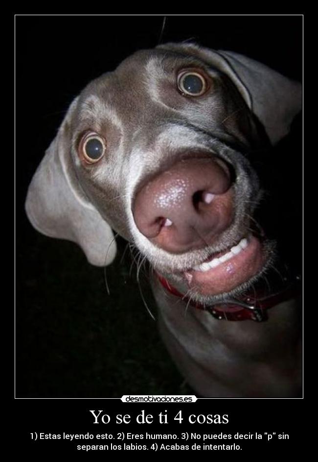 Yo se de ti 4 cosas -