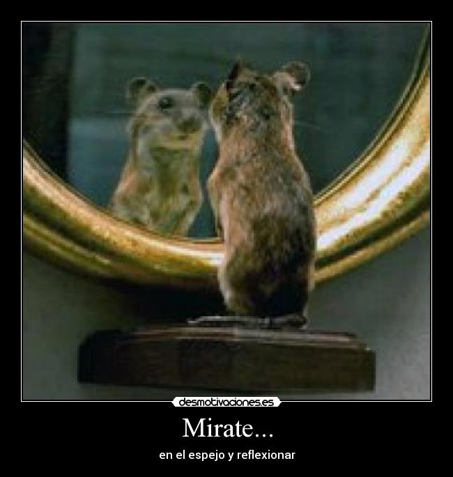 Mirate... - en el espejo y reflexionar