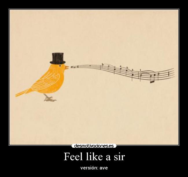 Feel like a sir - versión: ave