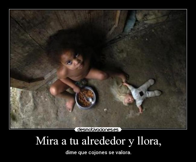 Mira a tu alrededor y llora, - 