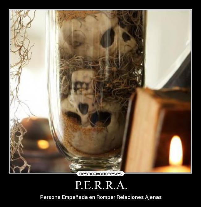 P.E.R.R.A. - 