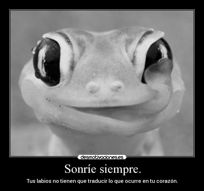 Sonríe siempre. - Tus labios no tienen que traducir lo que ocurre en tu corazón.