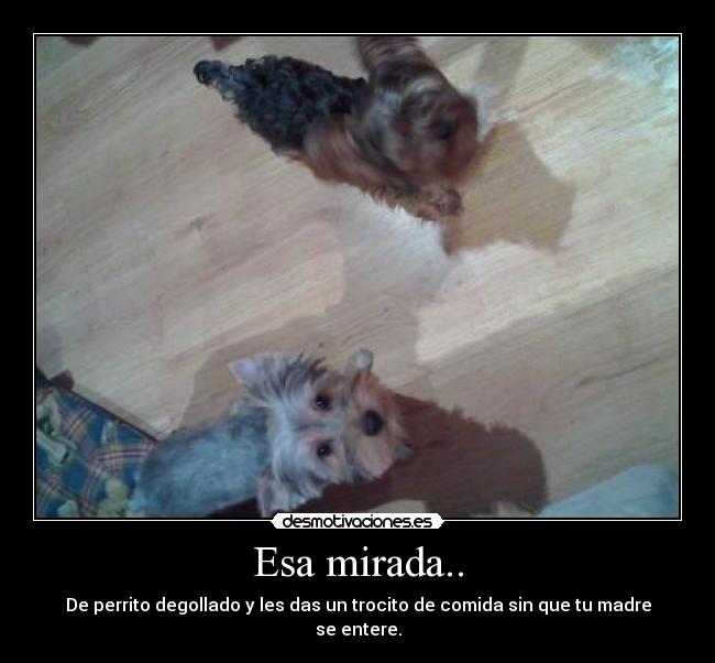 Esa mirada.. -