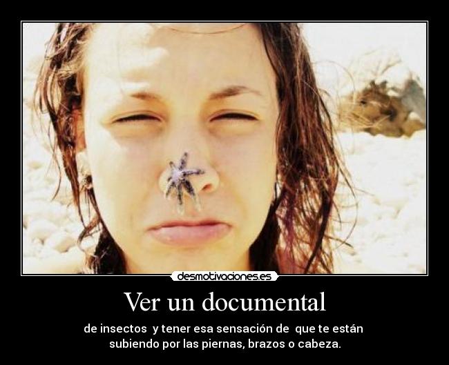 Ver un documental - de insectos y tener esa sensación de que te están
subiendo por las piernas, brazos o cabeza.