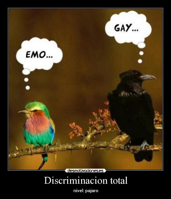 Discriminacion total - nivel: pajaro
