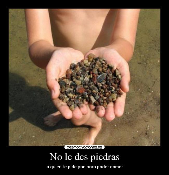 No le des piedras -