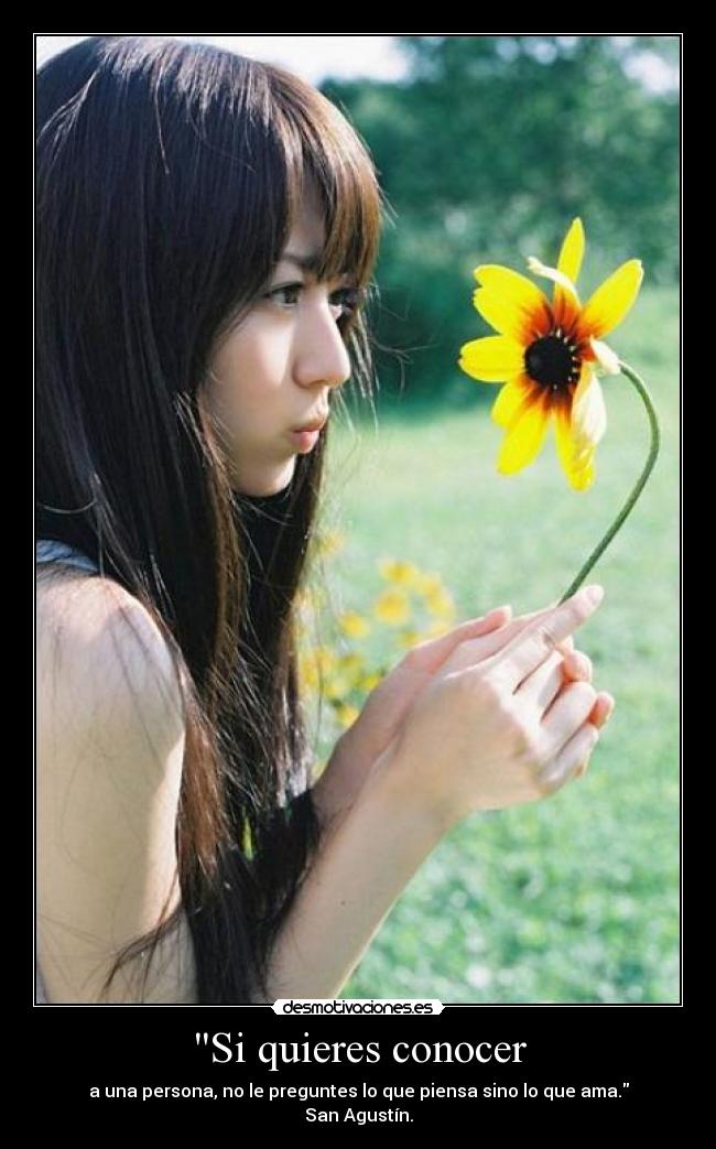 carteles conocer persona ama desmotivaciones